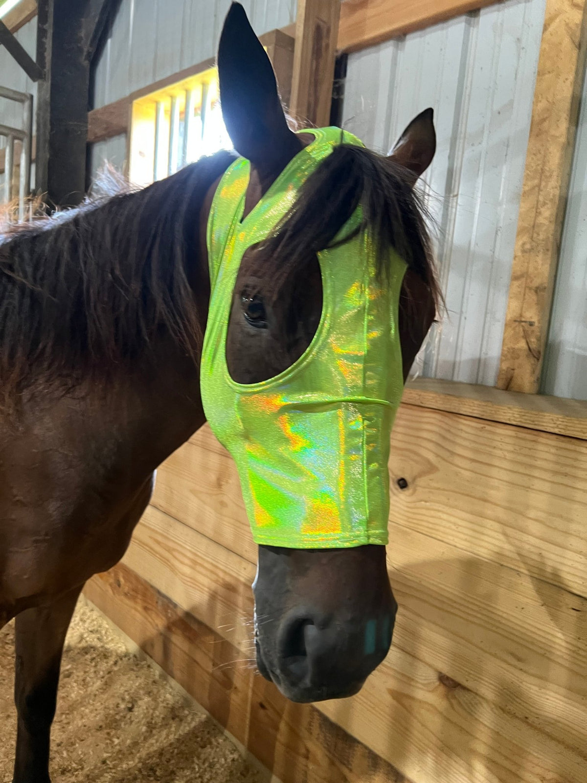 Neon Lime Green Holographic Spandex Face Mask for Horses - Riverside Rodeo Shirts