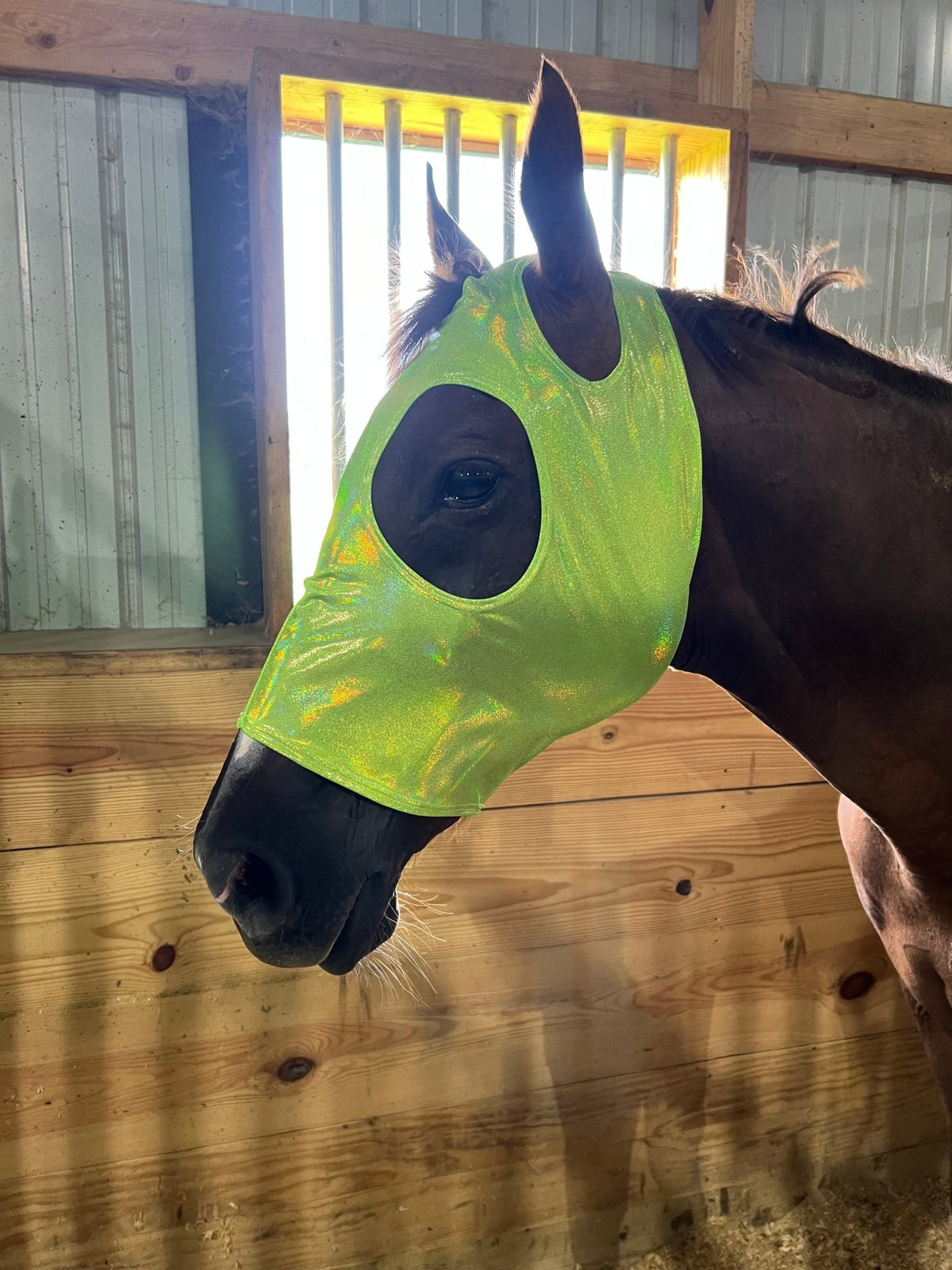 Neon Lime Green Holographic Spandex Face Mask for Horses - Riverside Rodeo Shirts