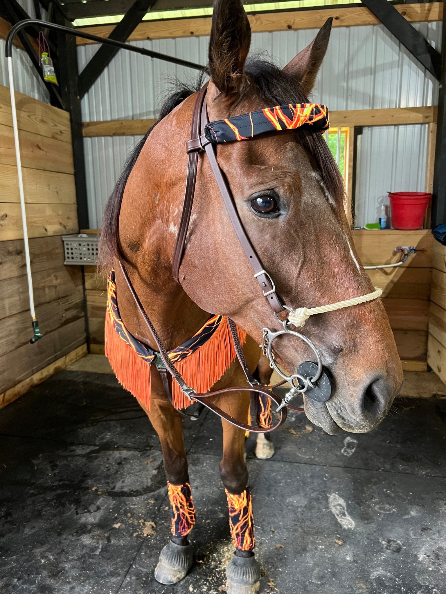 Neon Orange Lightning Print Browband or Noseband Cover (ONE Cover Only) - Riverside Rodeo Shirts