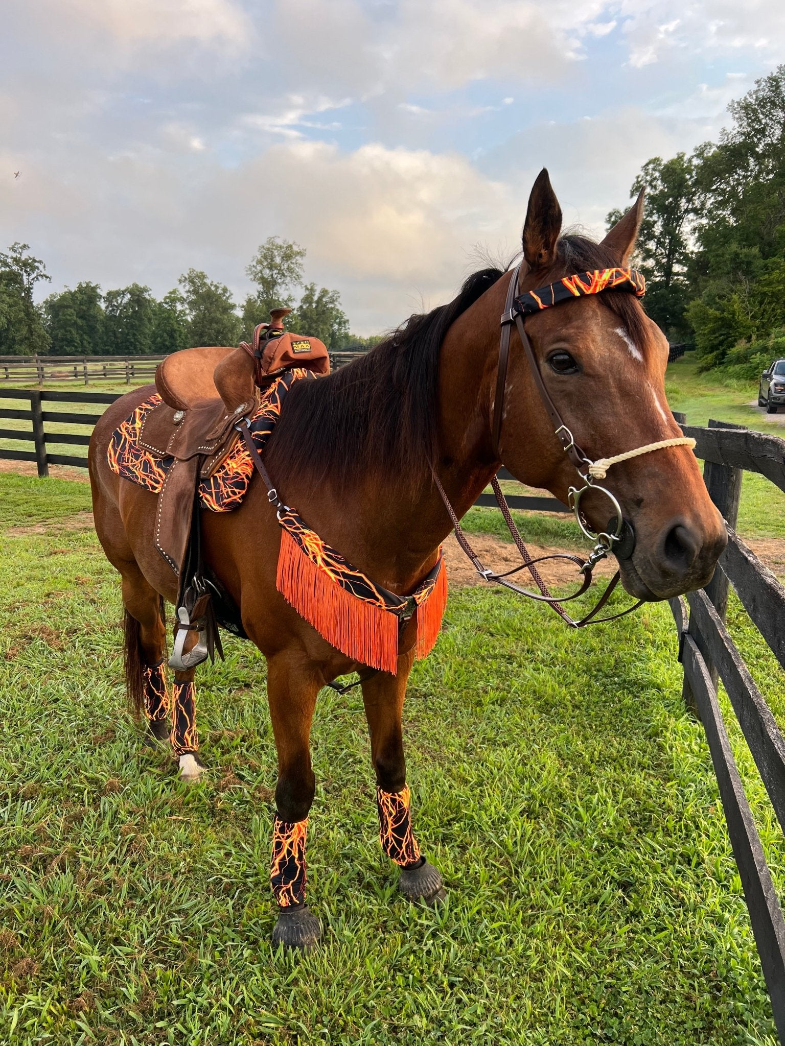 Neon Orange Lightning Print Browband or Noseband Cover (ONE Cover Only) - Riverside Rodeo Shirts