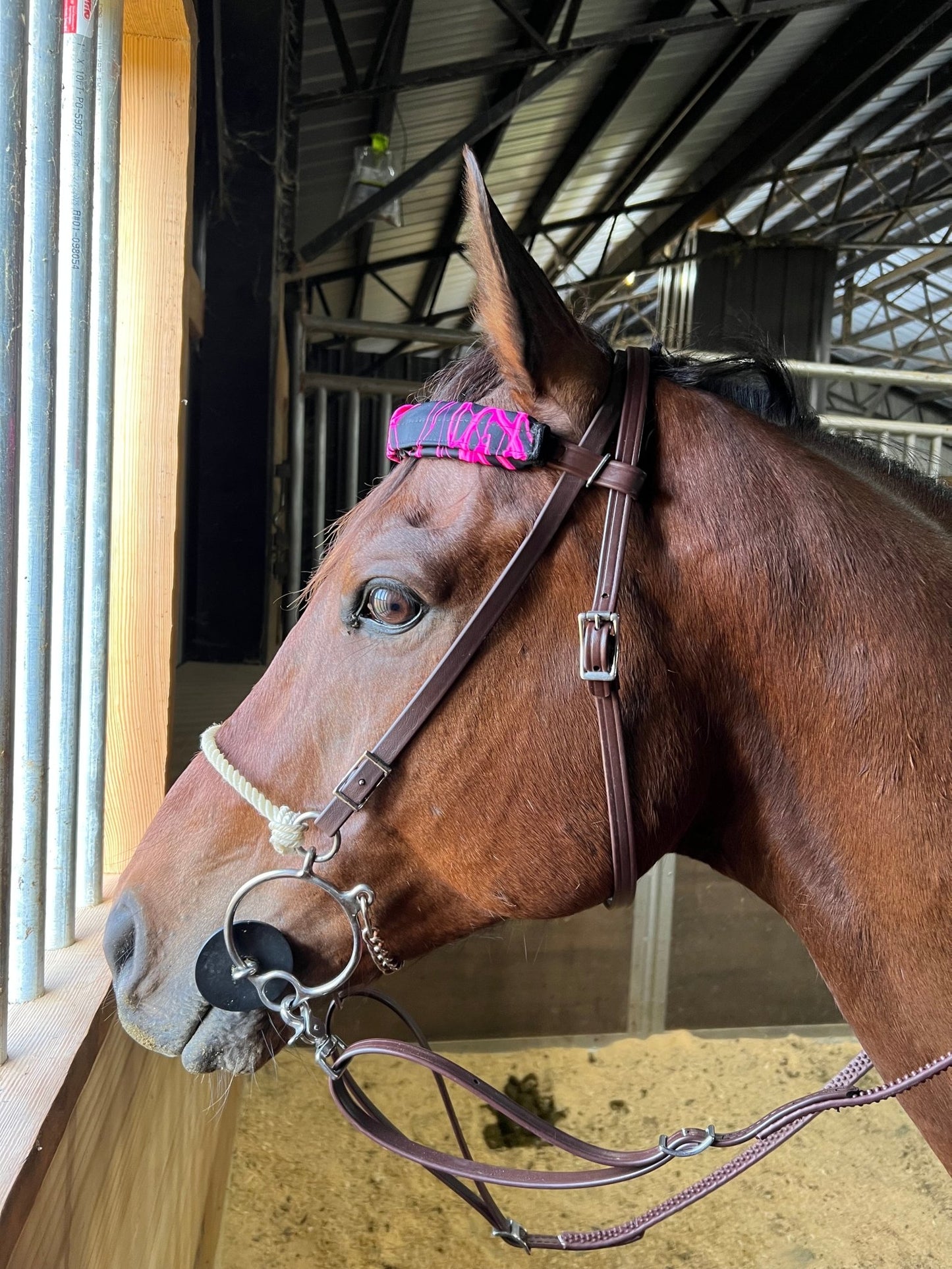 Neon Pink Lightning Print Browband or Noseband Cover (ONE Cover Only) - Riverside Rodeo Shirts