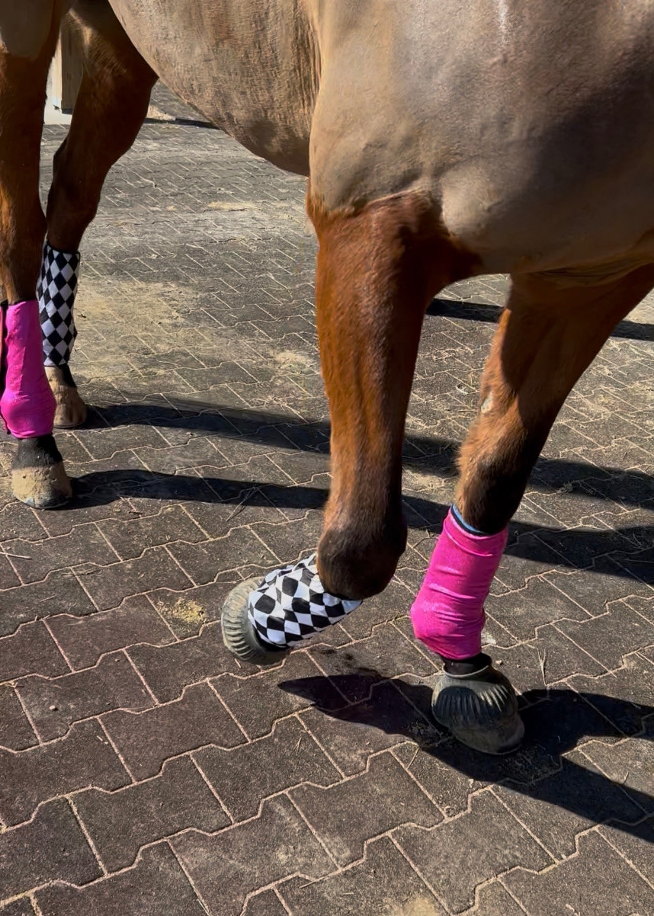 Neon Pink OR Diamond Print Velcro Sportboot Covers (Covers Only, sets of TWO) - Riverside Rodeo Shirts