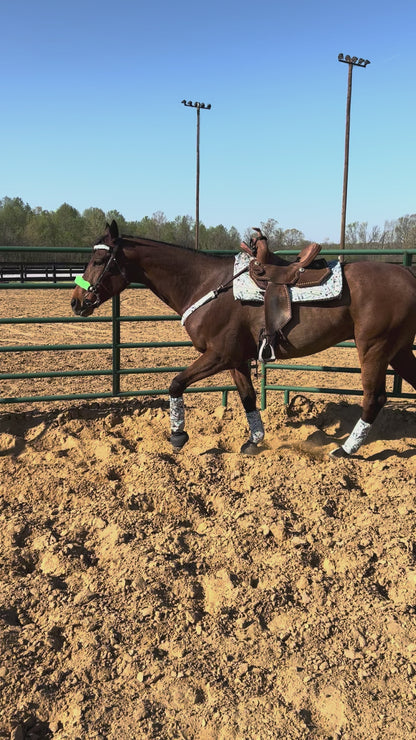 Western Saddle Pad COVER in Cold Cash (Saddle Pad Cover Only)