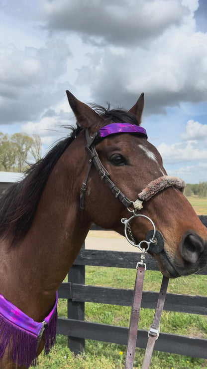 Grape Holographic Browband or Noseband Cover (ONE Cover Only)