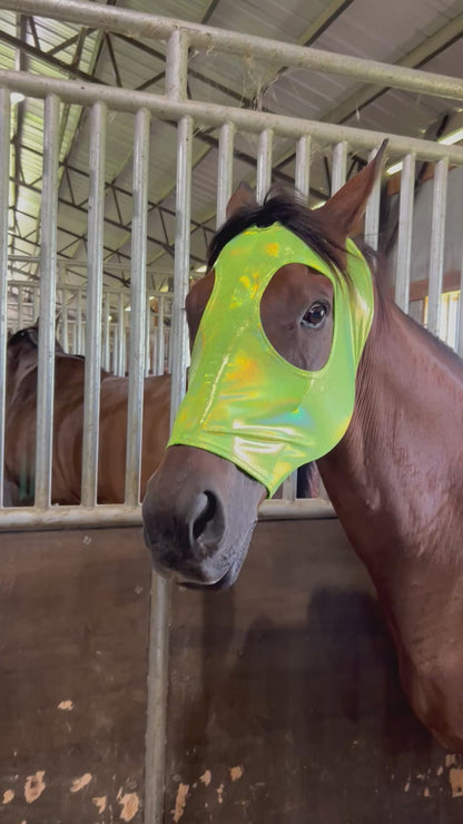 Neon Lime Green Holographic Spandex Face Mask for Horses