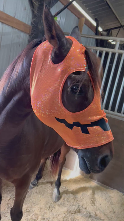 Jack O Lantern Pumpkin Costume Mask for Horses