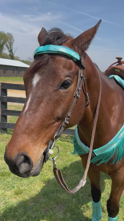Seafoam Holographic Browband or Noseband Cover (ONE Cover Only)