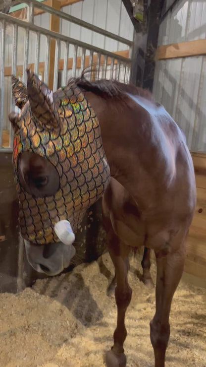 Gold Dragon Scale WartHog Costume Mask for Horses