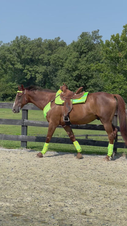 Neon Lime Green Holographic Browband or Noseband Cover (ONE Cover Only)