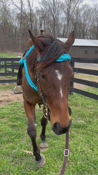 Turquoise Kaleidoscope Breast Collar Cover (Covers ONLY)