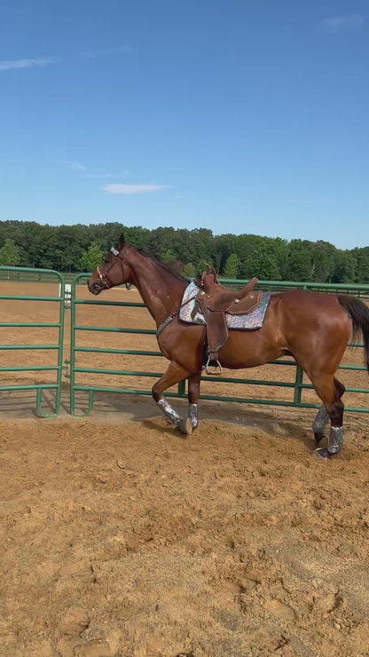 Silver Kaleidoscope Browband or Noseband Cover (ONE Cover Only)