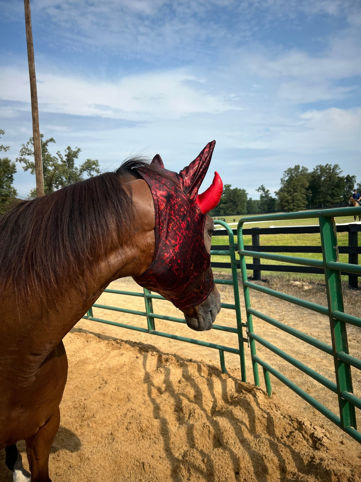Red Devil Costume Mask for Horses - Riverside Rodeo Shirts