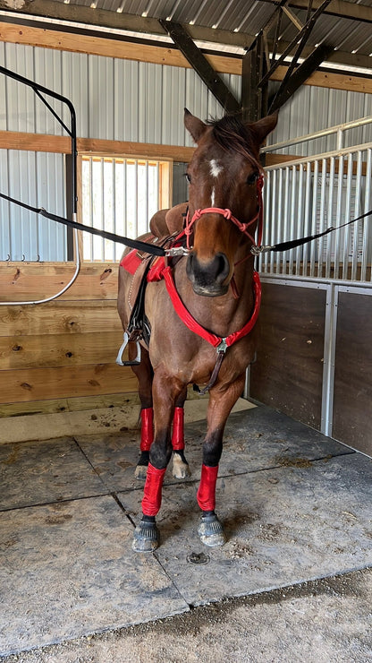 Red Sparkly Jewel Breast Collar Cover (Covers ONLY) - Riverside Rodeo Shirts