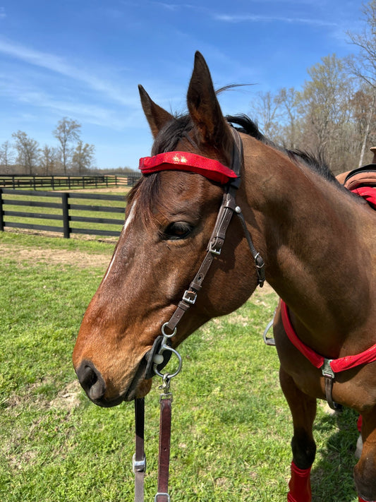 Red Sparkly Jewel Browband or Noseband Cover (ONE Cover Only) - Riverside Rodeo Shirts