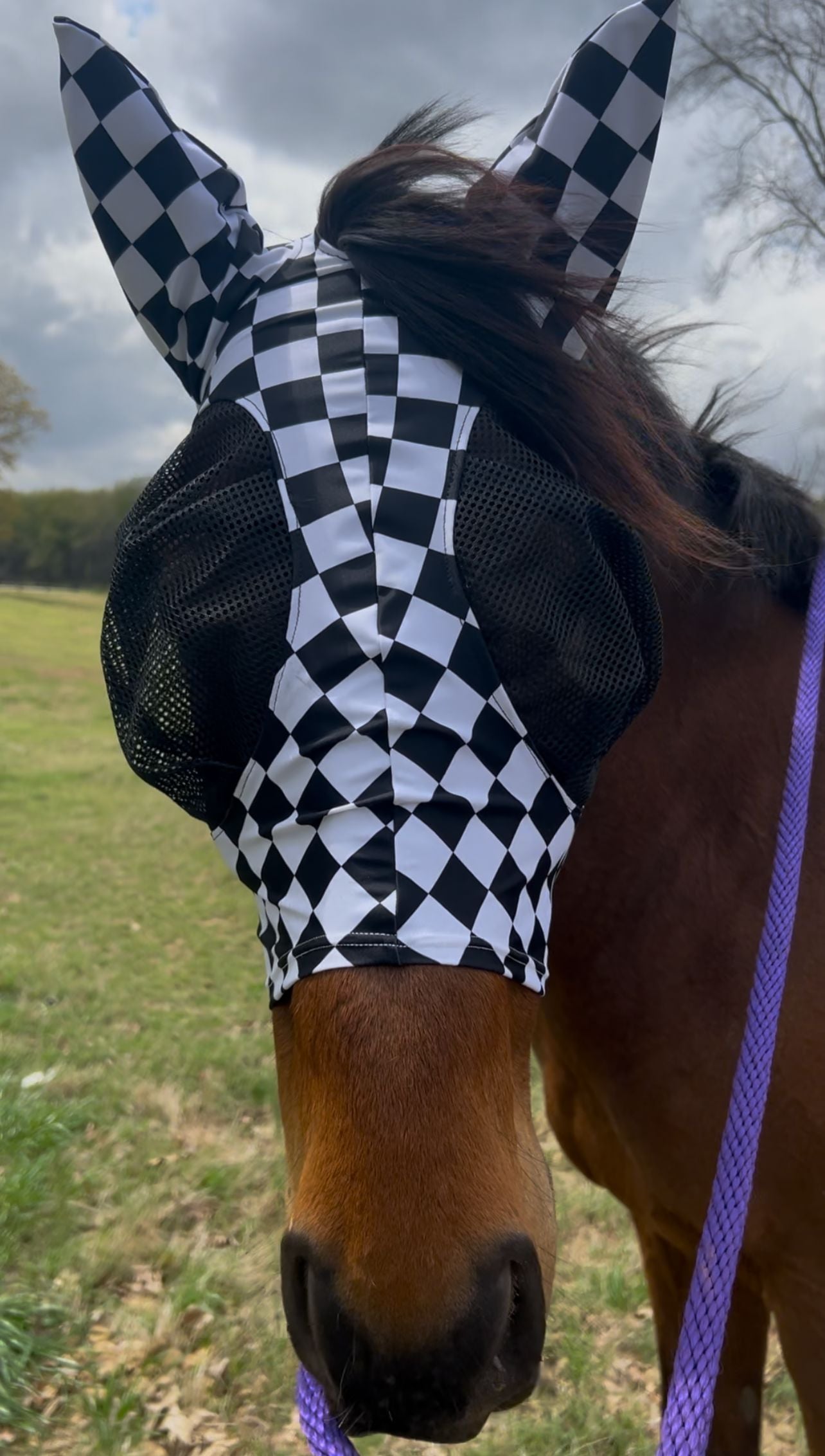 Checkered Fly Mask - Riverside Rodeo Shirts
