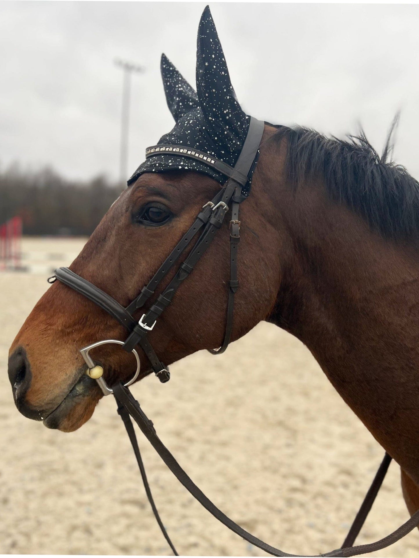 Star Noir Fly Bonnet - Riverside Rodeo Shirts