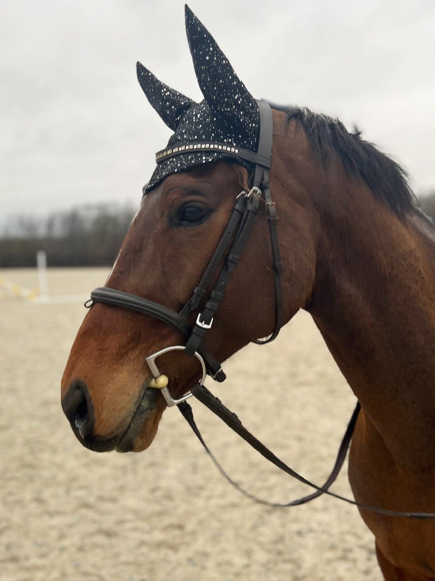 Star Noir Fly Bonnet - Riverside Rodeo Shirts