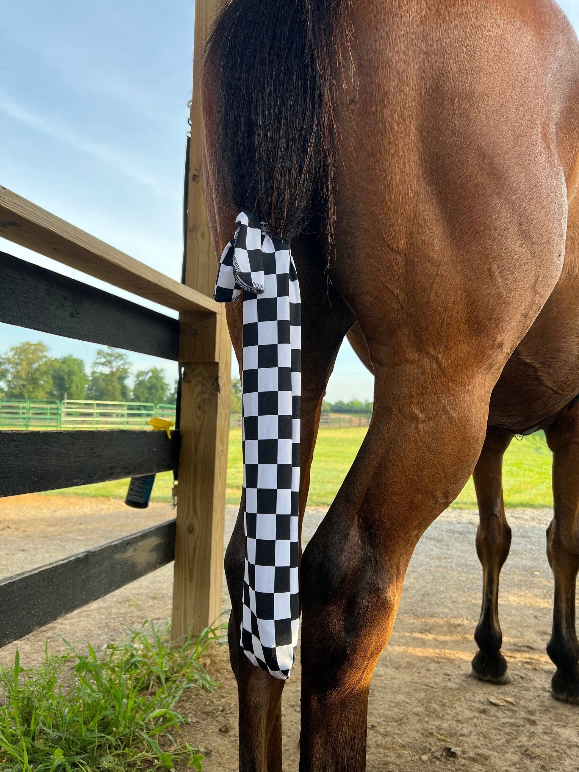 Checkered Tail Bag - Riverside Rodeo Shirts