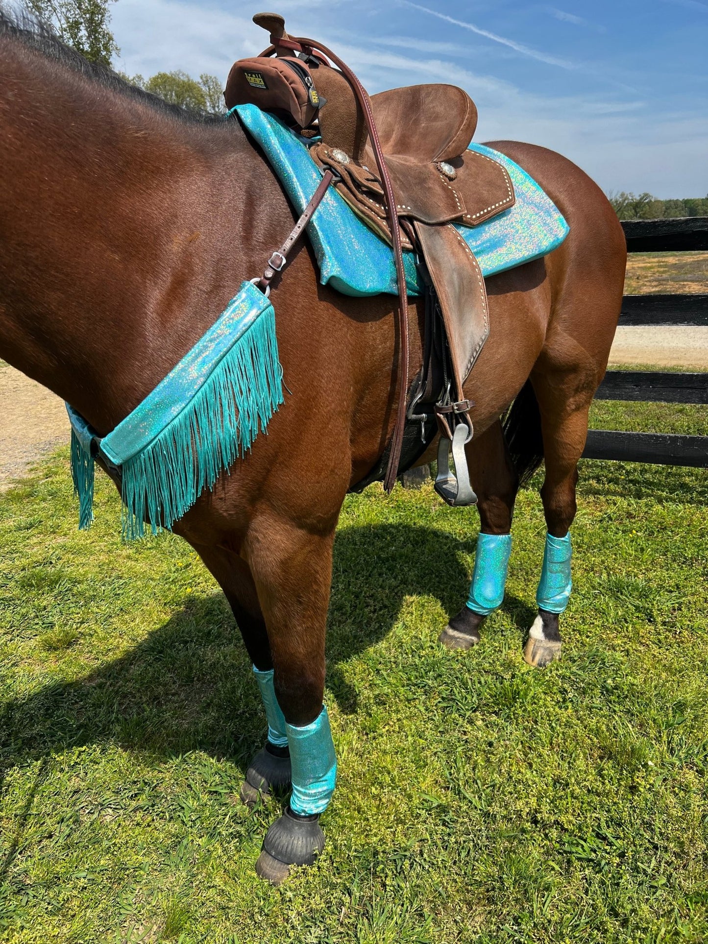 Seafoam Holographic Breast Collar Cover with Dusty Jade Chainette Fringe (Covers ONLY) - Riverside Rodeo Shirts