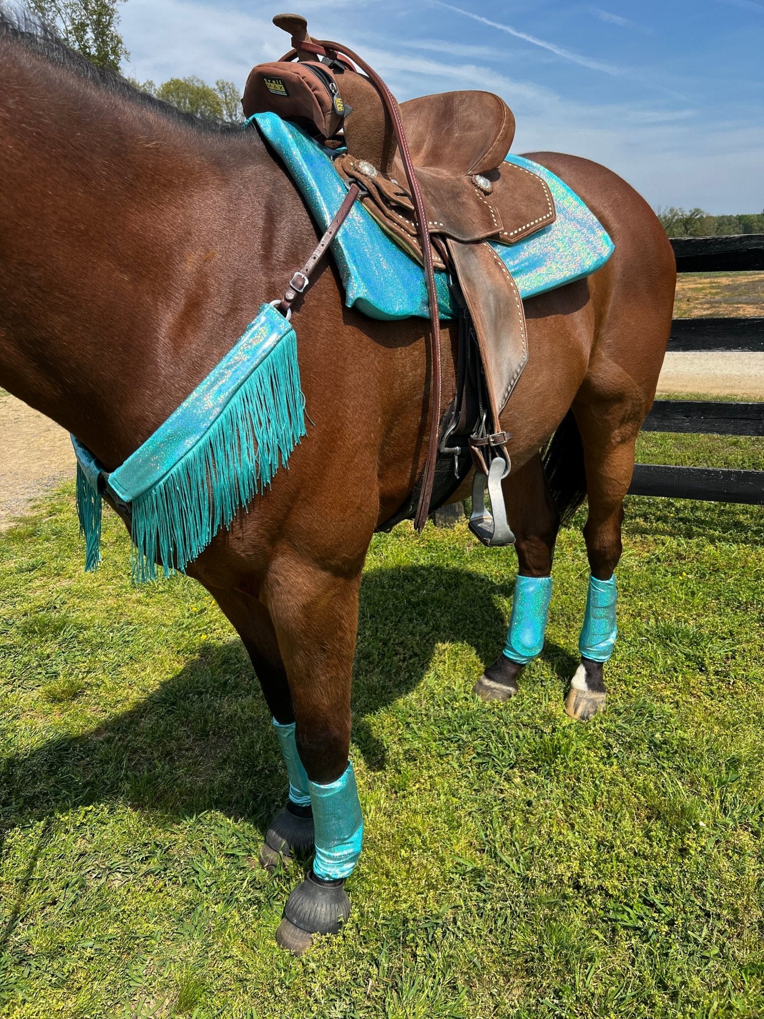 Seafoam Holographic Breast Collar Cover with Dusty Jade Chainette Fringe (Covers ONLY) - Riverside Rodeo Shirts