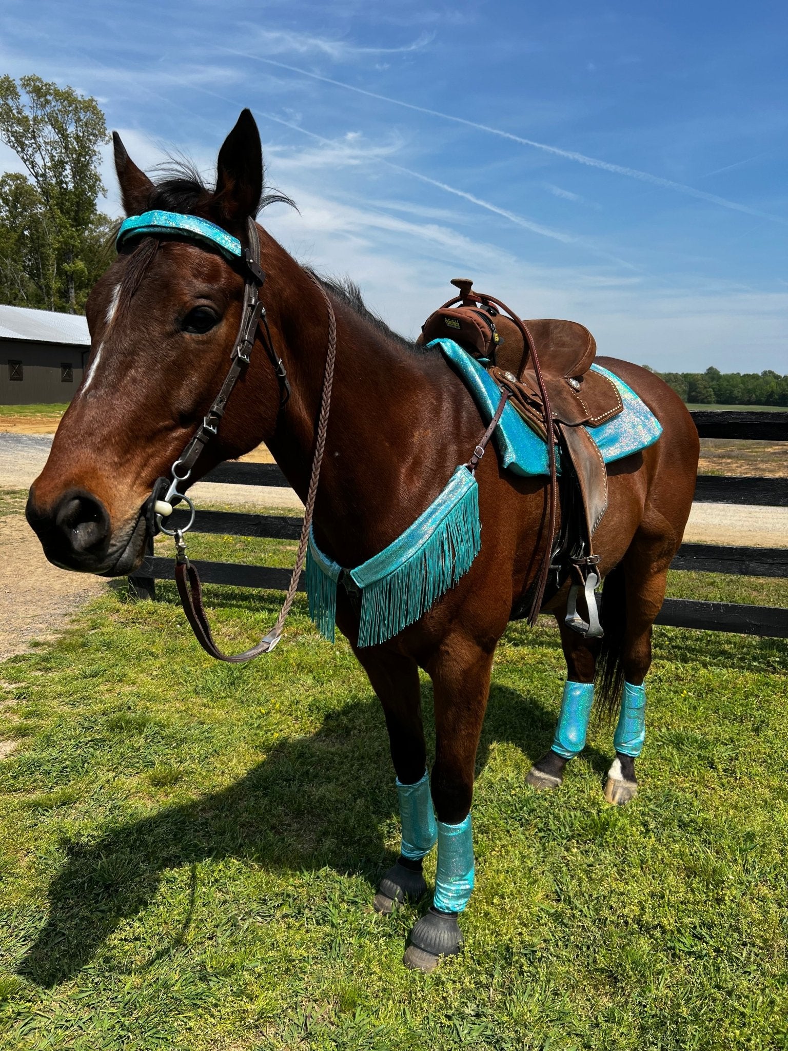 Seafoam Holographic Breast Collar Cover with Dusty Jade Chainette Fringe (Covers ONLY) - Riverside Rodeo Shirts