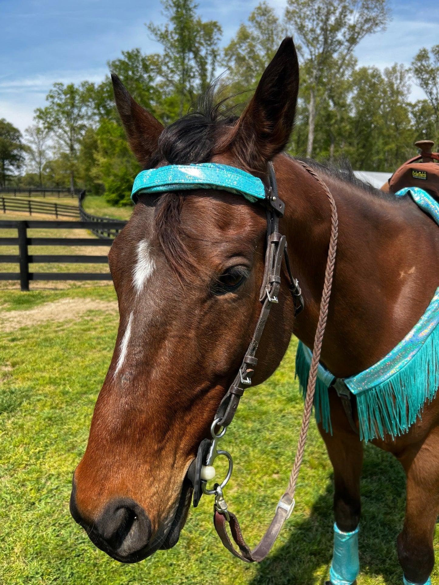 Seafoam Holographic Browband or Noseband Cover (ONE Cover Only) - Riverside Rodeo Shirts