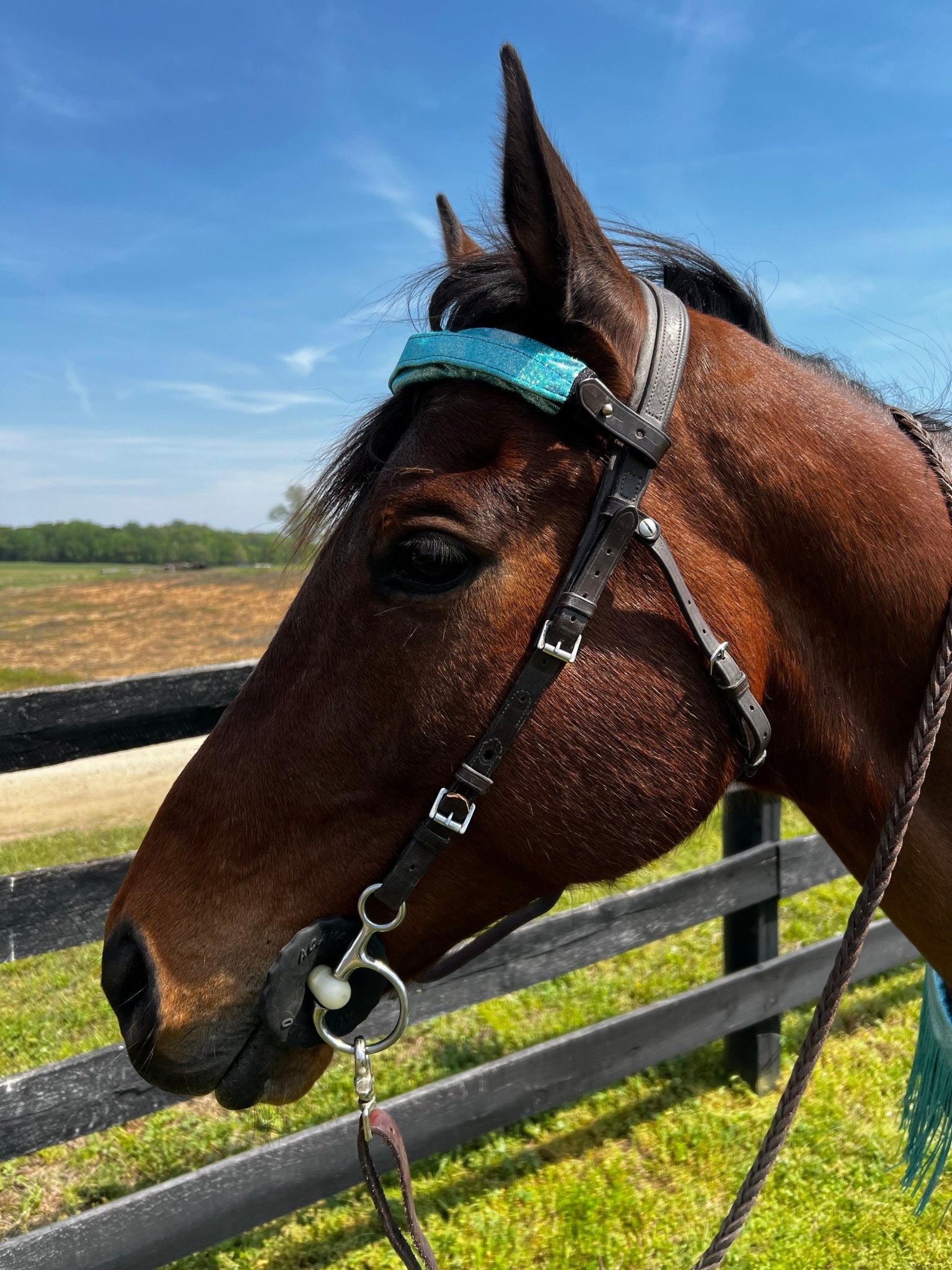 Seafoam Holographic Browband or Noseband Cover (ONE Cover Only) - Riverside Rodeo Shirts