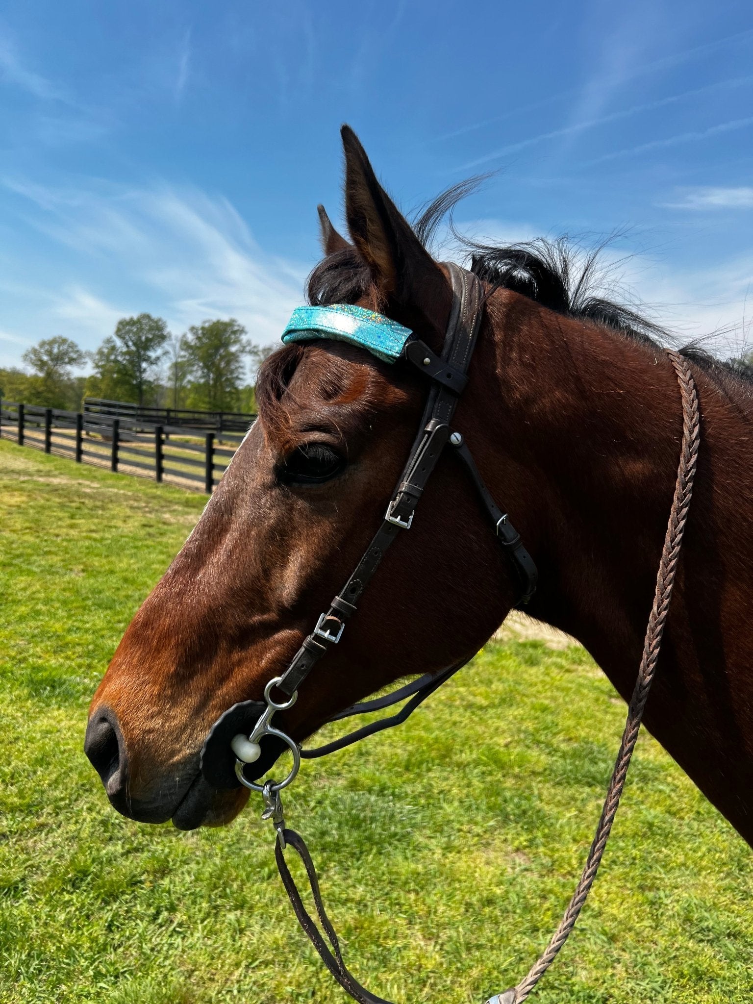 Seafoam Holographic Browband or Noseband Cover (ONE Cover Only) - Riverside Rodeo Shirts