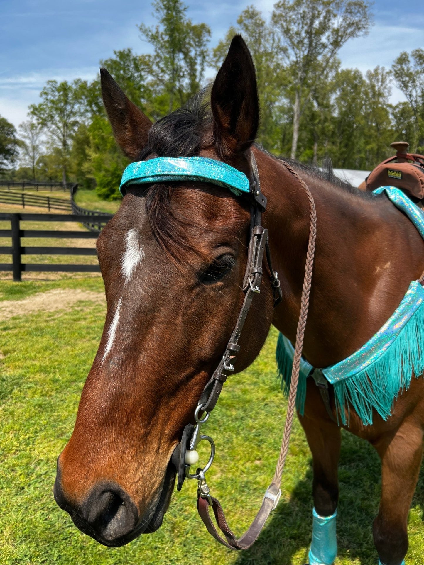 Seafoam Holographic Browband or Noseband Cover (ONE Cover Only) - Riverside Rodeo Shirts