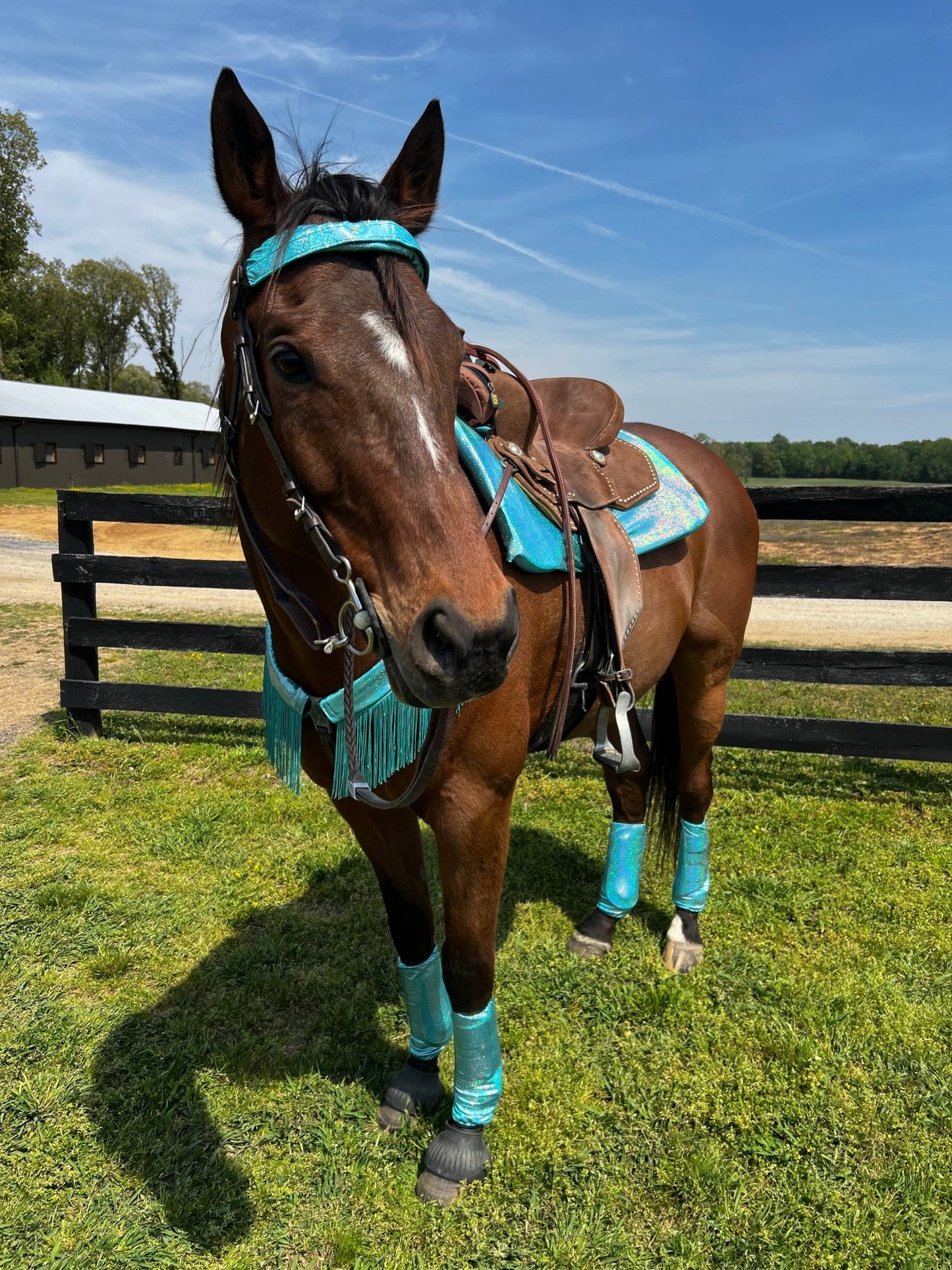 Seafoam Holographic Velcro Sportboot Covers (Covers Only, sets of TWO) - Riverside Rodeo Shirts