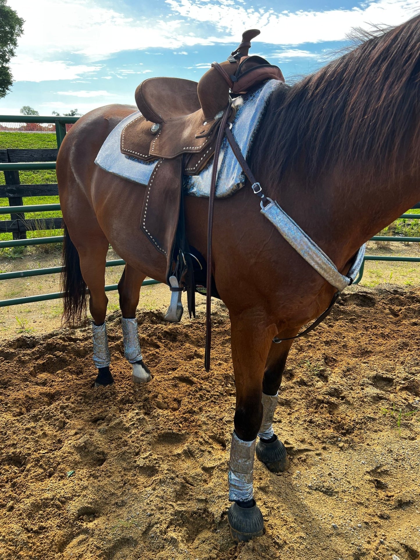 Silver Kaleidoscope Breast Collar Cover (Covers ONLY) - Riverside Rodeo Shirts