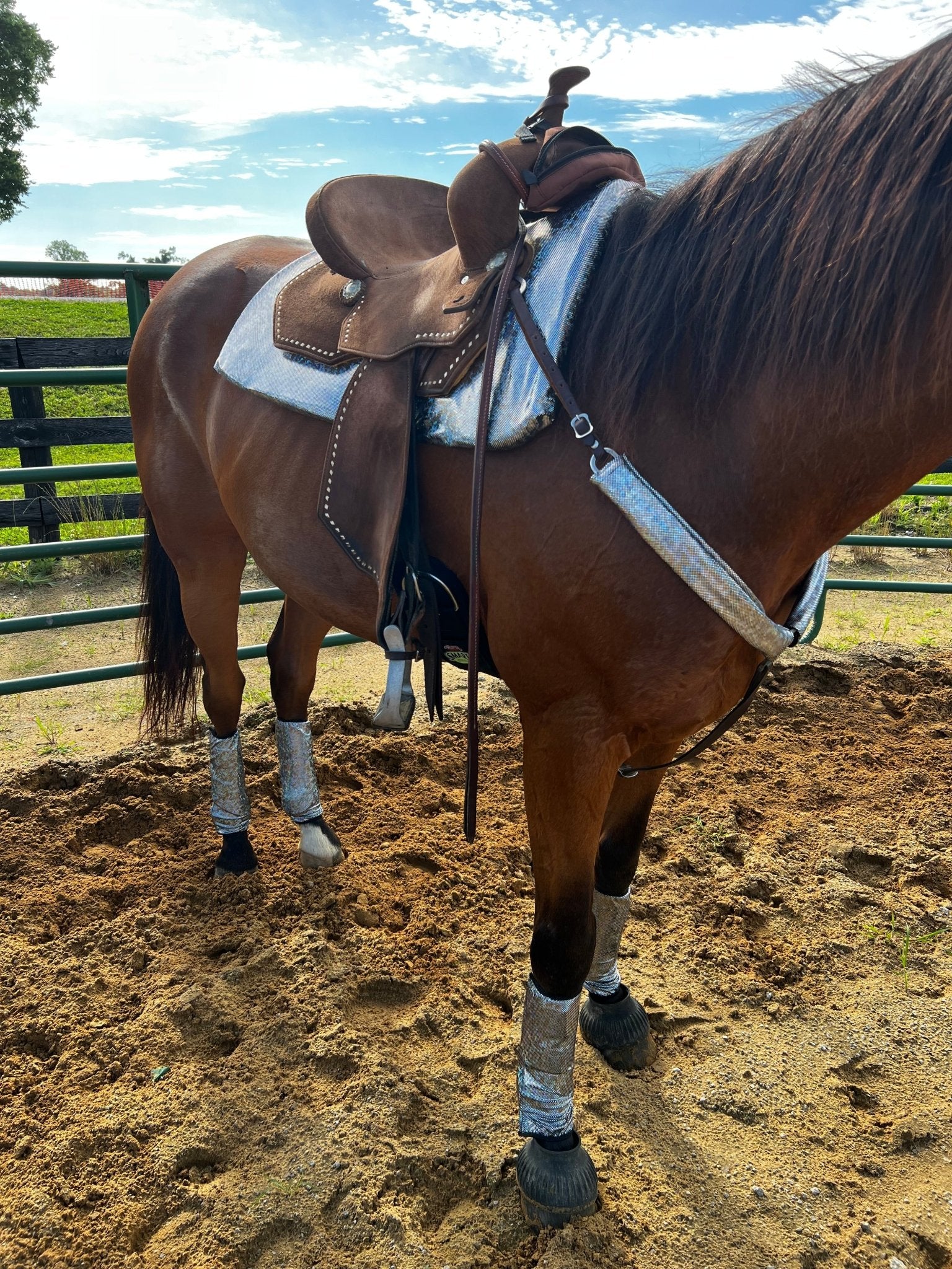 Silver Kaleidoscope Breast Collar Cover (Covers ONLY) - Riverside Rodeo Shirts
