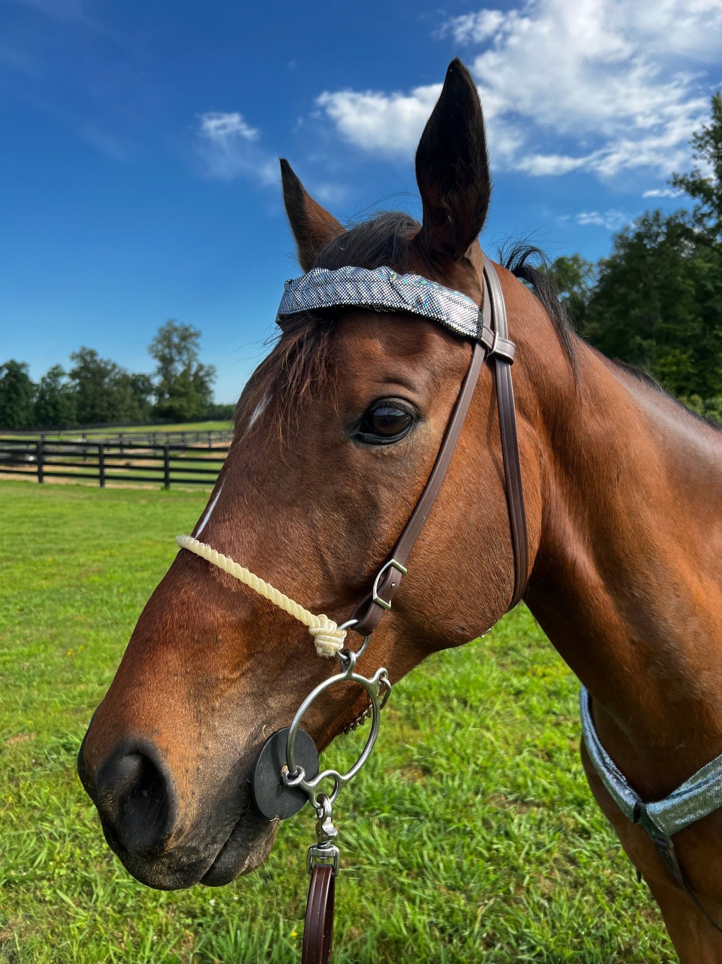 Silver Kaleidoscope Browband or Noseband Cover (ONE Cover Only) - Riverside Rodeo Shirts