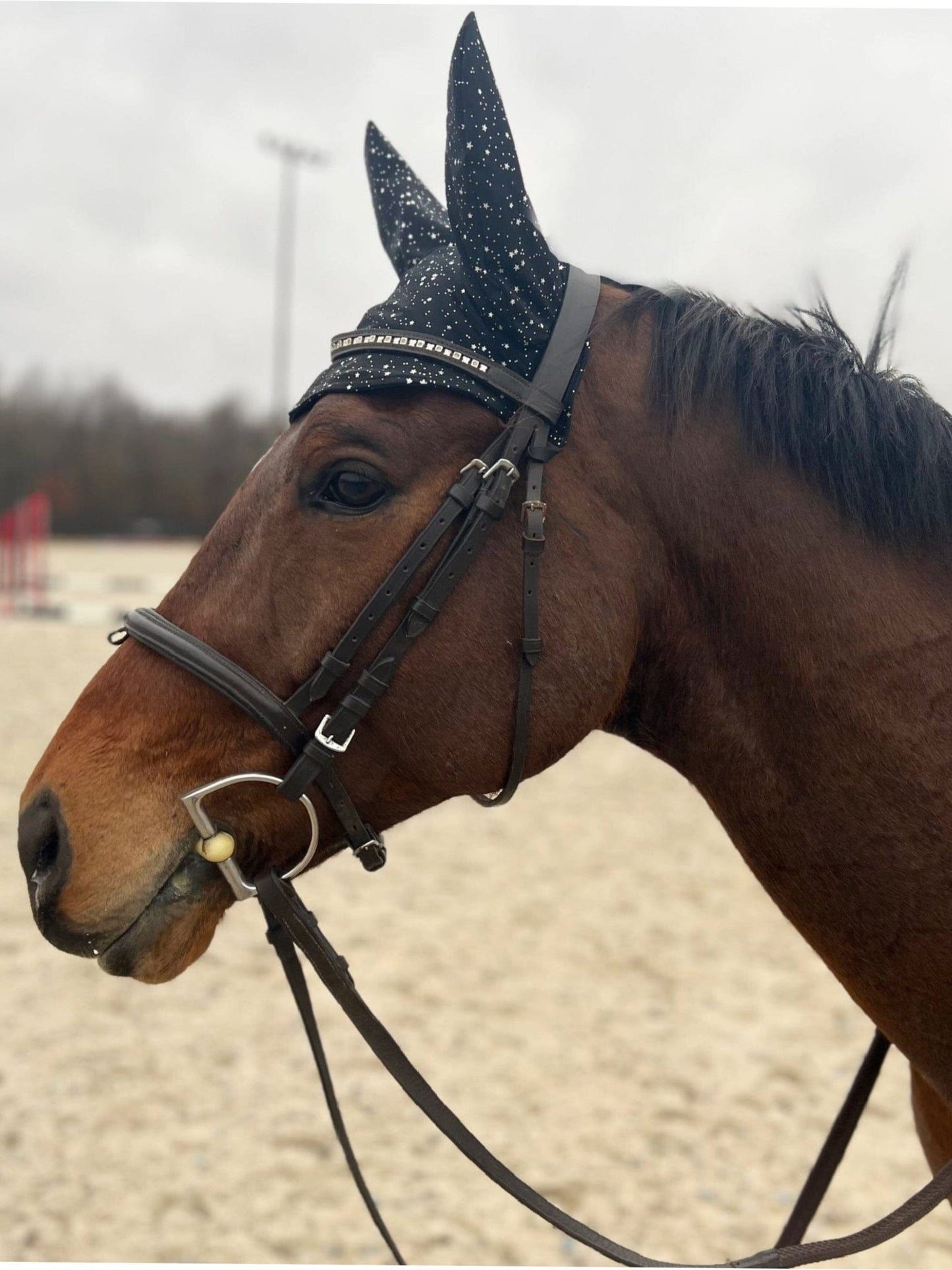 Star Noir Fly Bonnet - Riverside Rodeo Shirts