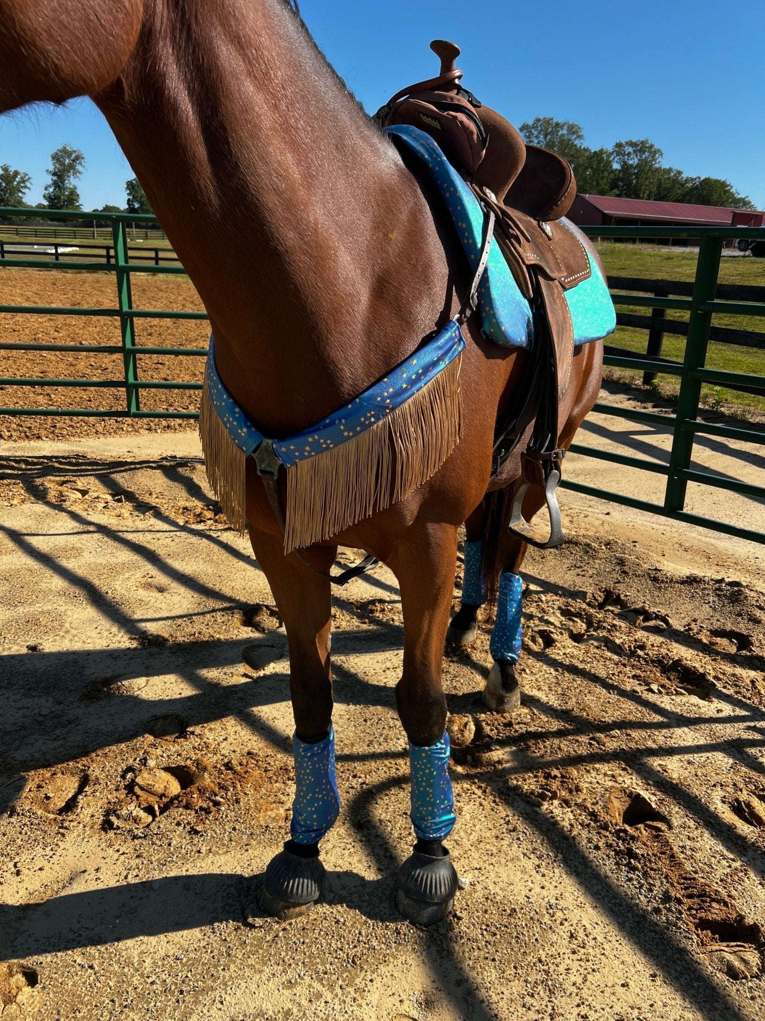 Stardust Breast Collar Cover with Gold Chainette Fringe (Covers ONLY) - Riverside Rodeo Shirts