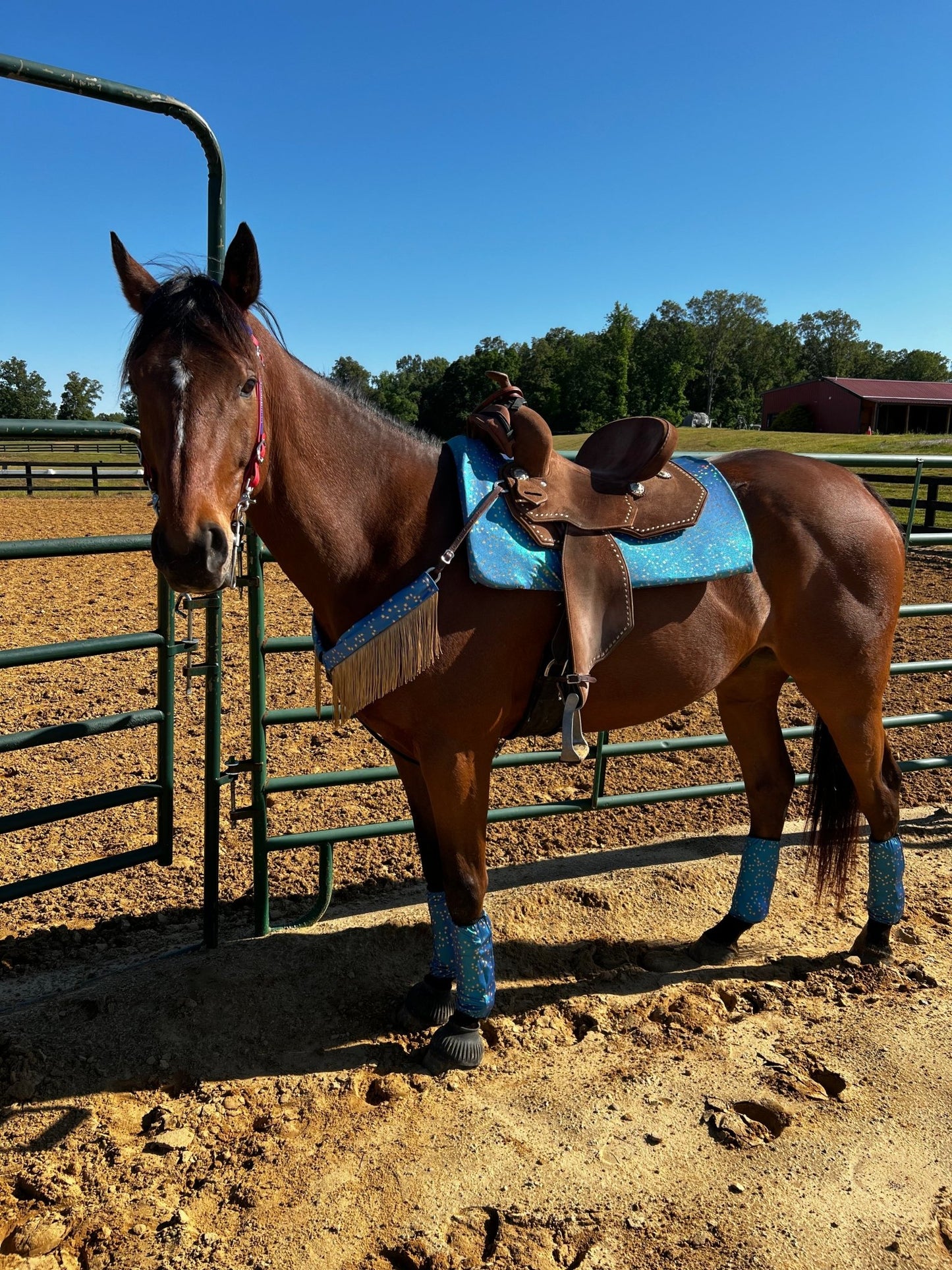Stardust Breast Collar Cover with Gold Chainette Fringe (Covers ONLY) - Riverside Rodeo Shirts