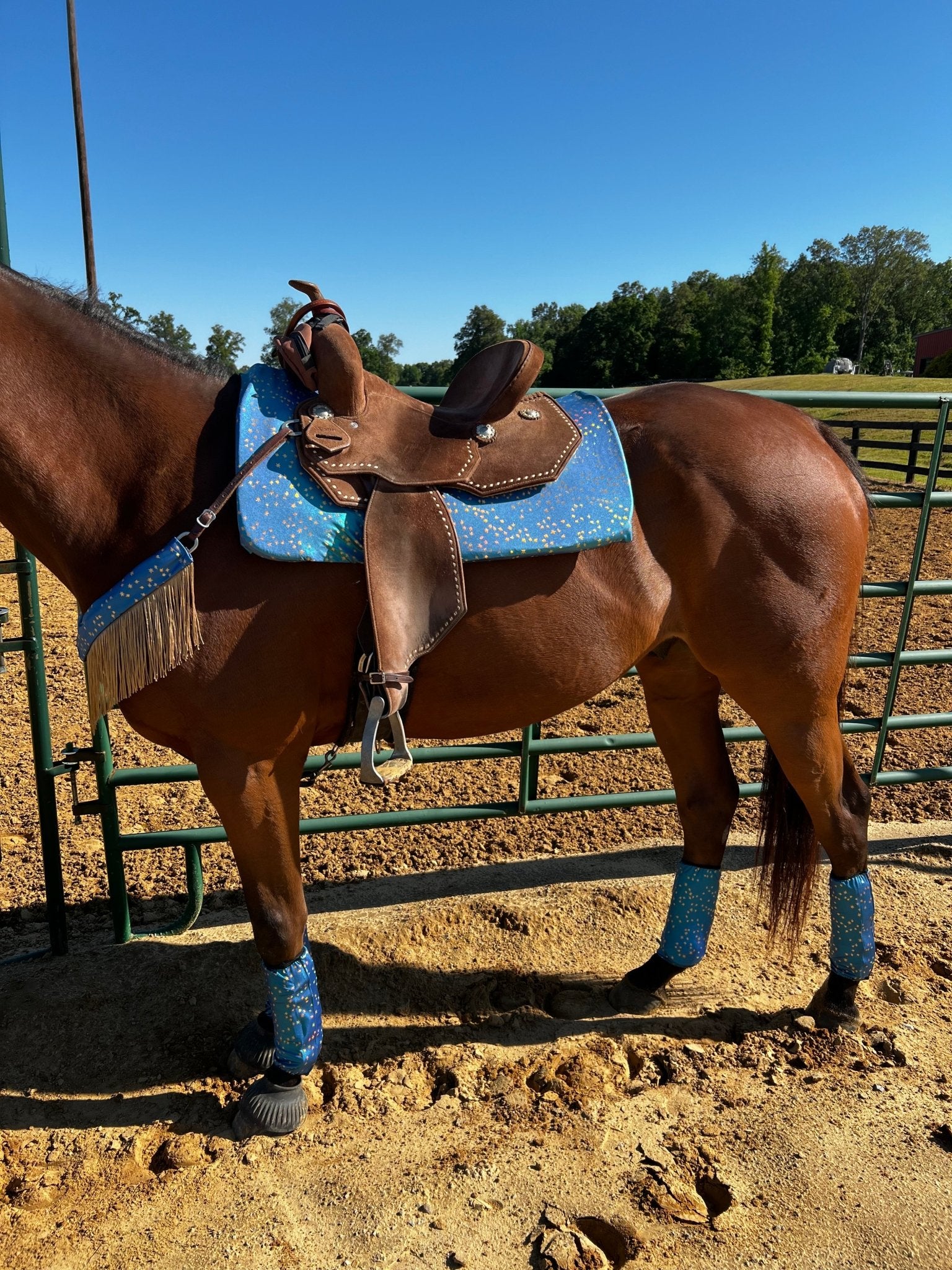Stardust Velcro Sportboot Covers (Covers Only, sets of TWO) - Riverside Rodeo Shirts