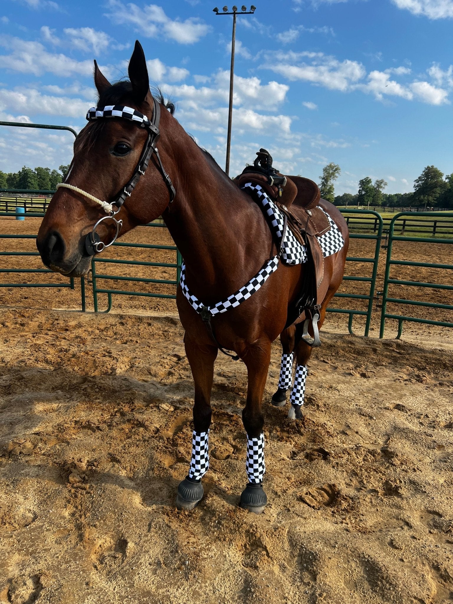 Western Saddle Pad COVER in Black and White Checkered (Saddle Pad Cover Only) - Riverside Rodeo Shirts