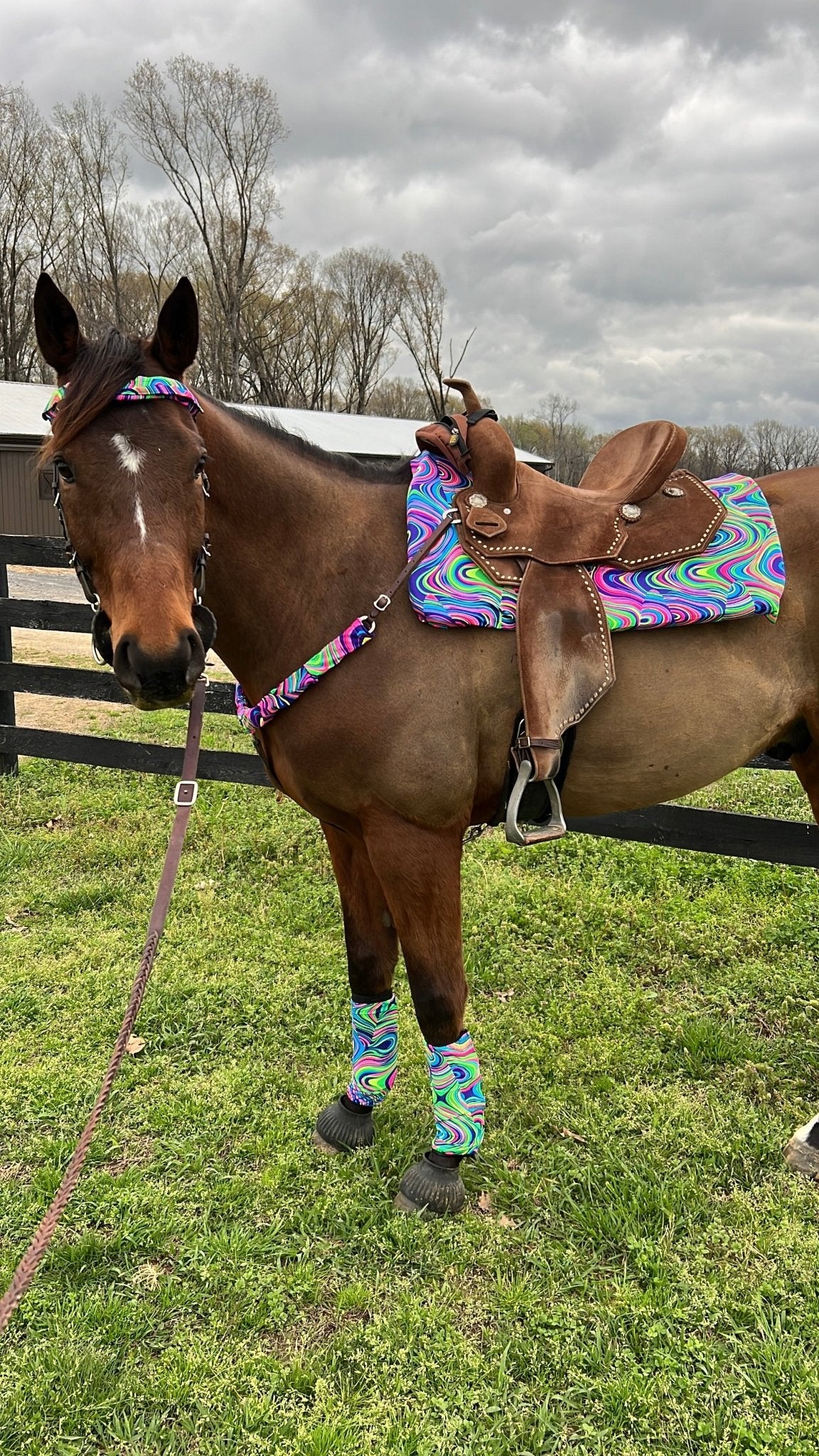 Western Saddle Pad COVER in Neon Glow Worm (Saddle Pad Cover Only) - Riverside Rodeo Shirts