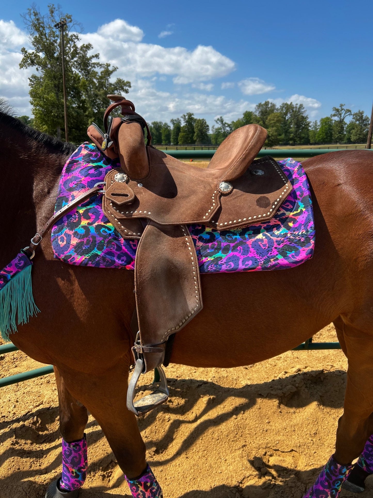 Western Saddle Pad COVER in Rainbow Leopard (Saddle Pad Cover Only) - Riverside Rodeo Shirts