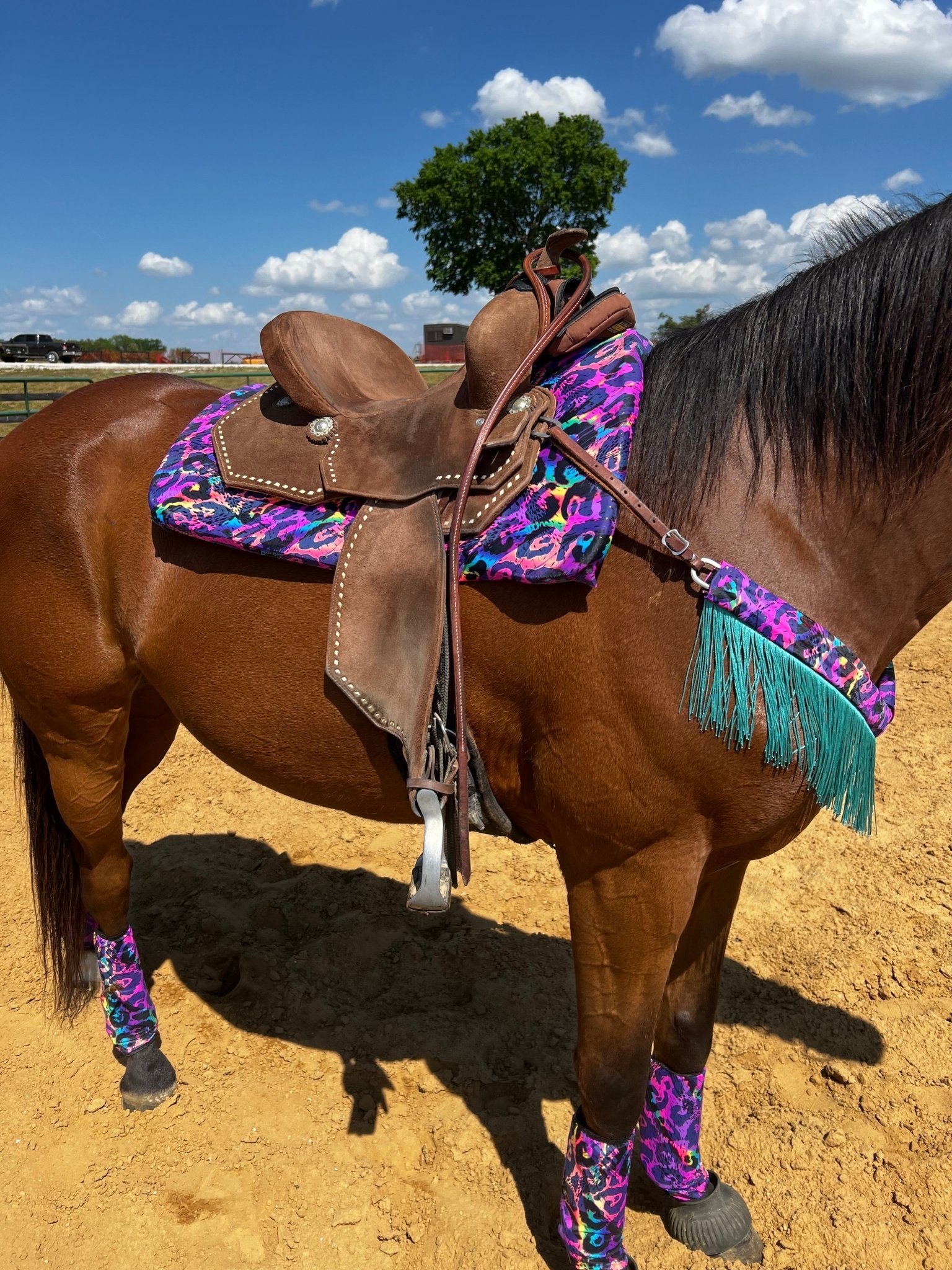 Western Saddle Pad COVER in Rainbow Leopard (Saddle Pad Cover Only) - Riverside Rodeo Shirts