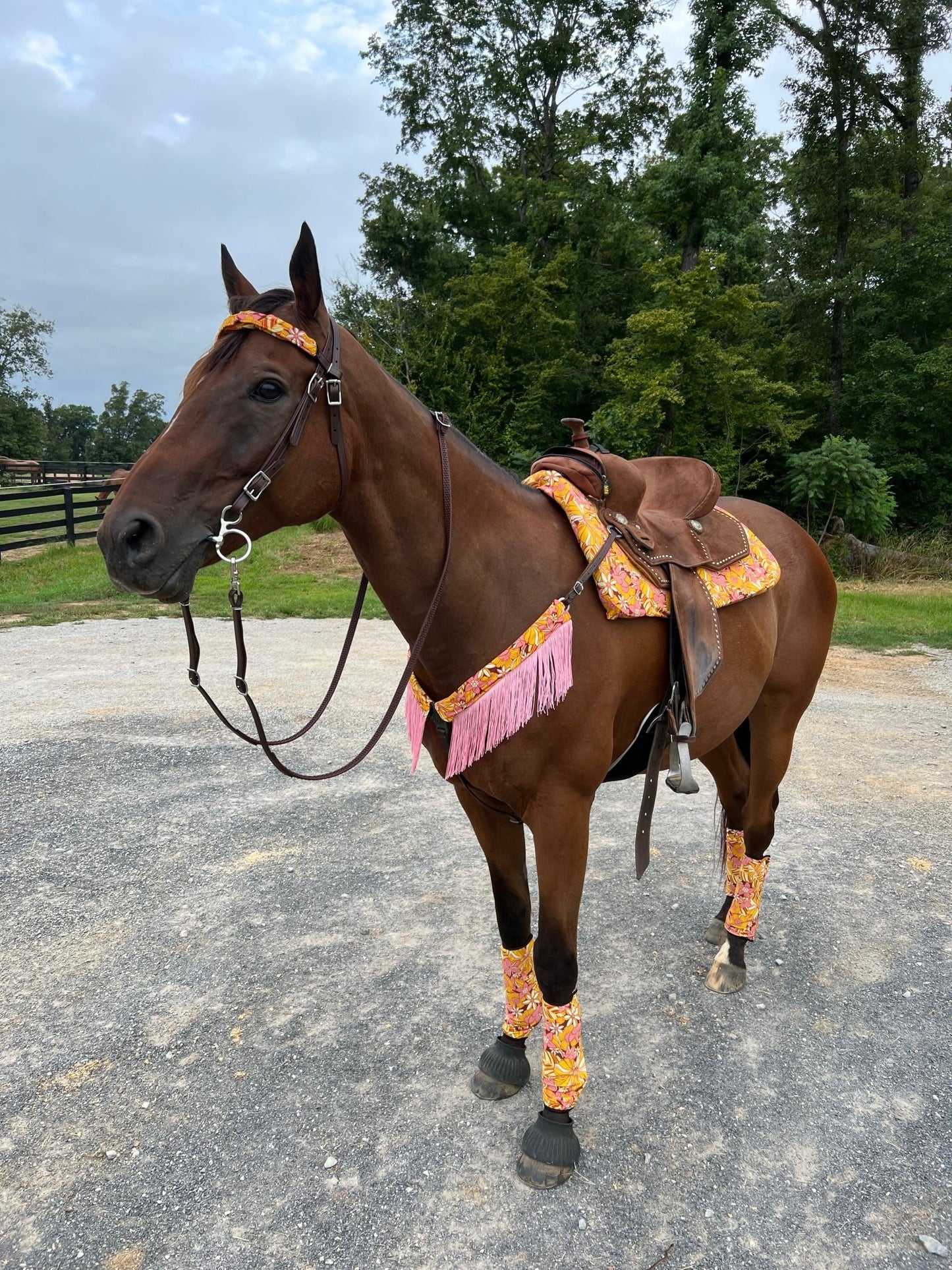 What the Floral Breast Collar Cover with Chainette Fringe (Covers ONLY) - Riverside Rodeo Shirts