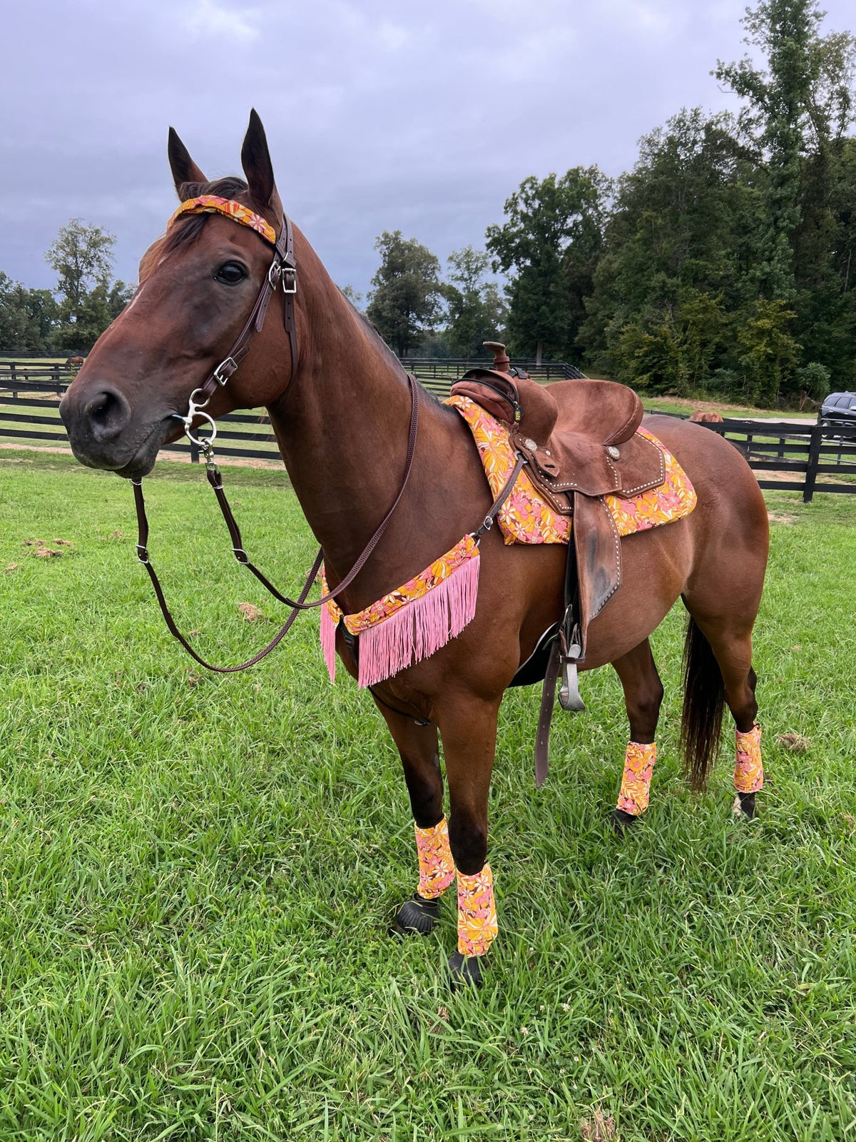 What the Floral Breast Collar Cover with Chainette Fringe (Covers ONLY) - Riverside Rodeo Shirts