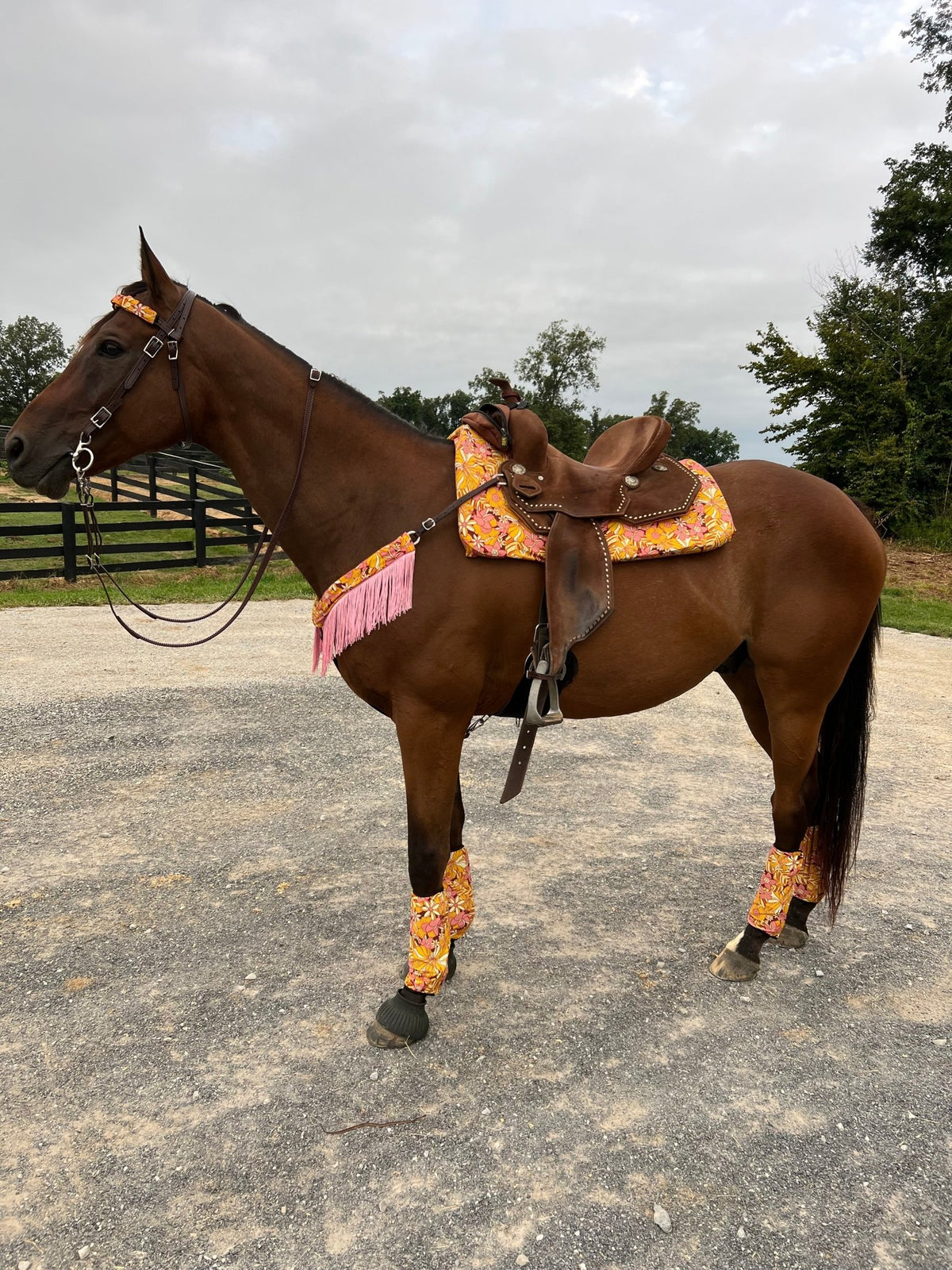 What The Floral Western Saddle Pad COVER (Saddle Pad Cover Only) - Riverside Rodeo Shirts