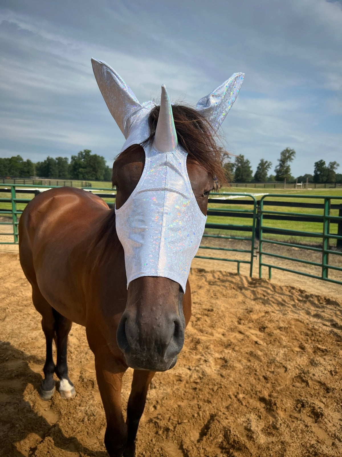 White Kaleidoscope Unicorn Costume Mask for Horses - Riverside Rodeo Shirts